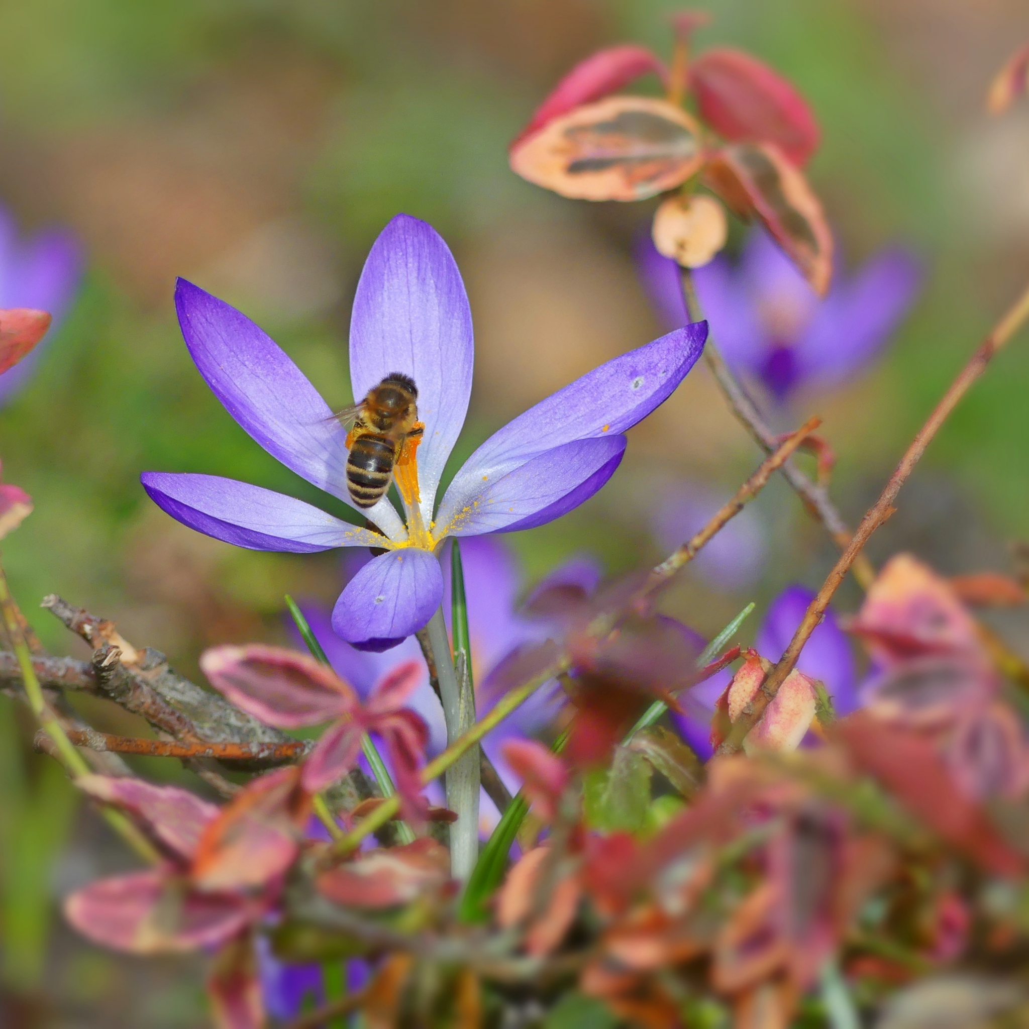 Calm and Slow Living