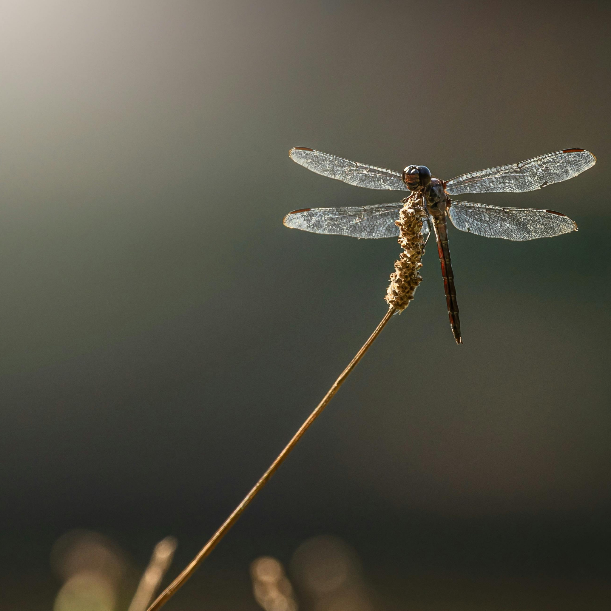 Motivation and Keep Going