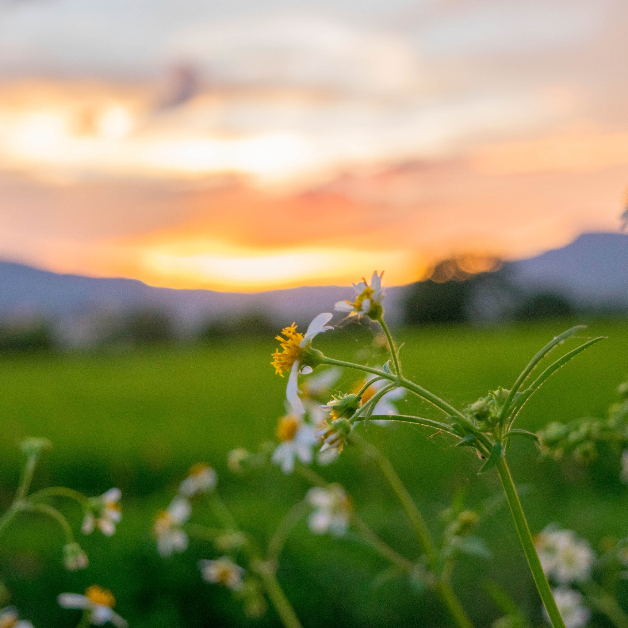 Healing and Letting Go